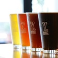Y.MARKET BREWING